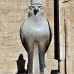 temple_edfu_lux_v_0170_egy2852.jpg